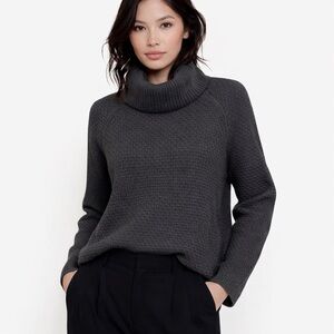 Banana Republic Turtleneck Sweater Small Gray Merino Wool Alpaca Knit EUC